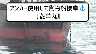 アンカー使用して貨物船の接岸⚓『菱洋丸』