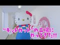 ハローキティと“キットカット”を開発？！工場潜入取材♡特別動画