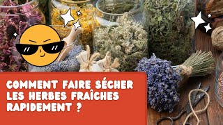 Comment sécher rapidement des herbes aromatiques ?