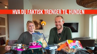 Fra Valp Til Jakthund / E3 : Hva trenger man til valp