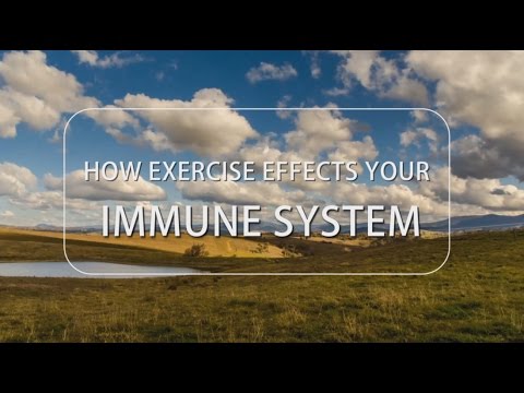 How Exercise Effects Your Immune System How Exercise Effects Your Immune System