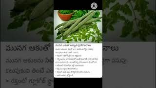 మునగ ఆకు తో అద్భుత ప్రయోజనాలు#ytshortsviral #shortvideo #healthtips #ytshorts