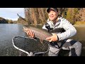 Alaska Day 4 - Monster PB Rainbow Trout on the Upper Kenai River, Kenai National Wildlife Refuge