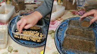 👩🏻‍🌾🌱🌱МИКРОЗЕЛЕНЬ. КАК Я СЕЮ КРУПНЫЕ И МЕЛКИЕ СЕМЕНА НА МИКРОЗЕЛЕНЬ. ВЕСЬ ПРОЦЕСС подробно