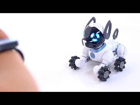 Tutorial: Getting Started with your CHiP Robot Dog! Tutorial: Getting Started with your CHiP Robot Dog!