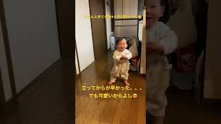 【急成長】しっかり歩く生後9ヶ月の赤ちゃん