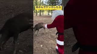 鹿の喧嘩を仲裁するサンタ　    #shorts    #サンタクロース    #クリスマス