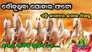 ସାତୋଟି ଘୋଡ଼ା ବାଲା ଫଟୋ ଚମକାଇ ଦେବ ଆପଣଙ୍କ ଭାଗ୍ୟ//ajira rashifal//vastu tips