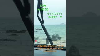 5／19山口県阿武郡木与波情報🌊#shorts #sup #日本海 #阿武町 #萩市 #波情報 #アソビュー