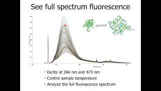 XTalks Webinar: Dive deep into AAV capsid stability \u0026 genome ejection with Uncle