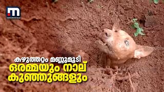 കഴുത്തറ്റം മണ്ണുമൂടി ഒരമ്മയും നാല് കുഞ്ഞുങ്ങളും; നിലവിളി കേട്ടെത്തിയവർ രക്ഷിച്ചത് മൂന്ന് ജീവനുകൾ