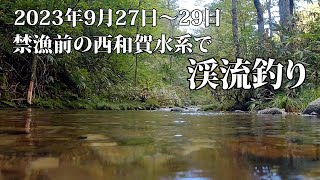 禁漁前の和賀川水系でイワナとヤマメ釣り＆キノコ狩り