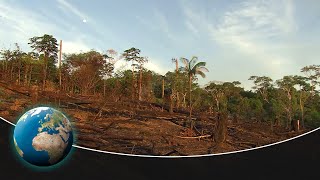 The Fight For Amazonia - Raids in the Rainforest