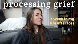Dealing with Grief | processing the loss of a pet, grieving vlog