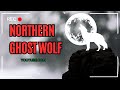 NORTHERN GHOST WOLF