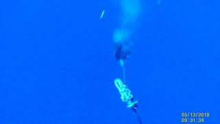 久米島　パラシュート　太一丸　水中カメラ3