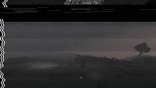 null.mp4