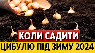 КРАЩІ ДНІ за місячним календарем для посадки озимої цибулі під зиму - жовтень, листопад 2024