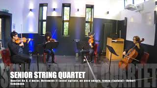 QEH Autumn 2020 Chamber Music Concert - Senior String Quartet