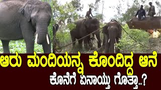 6 ಮಂದಿಯನ್ನ ಕೊಂದಿತ್ತು ಈ ಕಿಲ್ಲರ್ ಆನೆ..? elephant rescue operation in south India..!