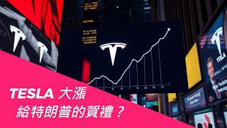 Tesla暴漲，華爾街提前祝賀特朗普當選總統？ Wall Street prematurely congratulates Trump on winning the presidency?