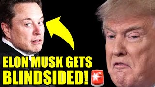 Experts Just DEMANDED That Biden DEPORT MUSK Over THIS