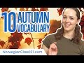 Learn the Top 10 Must-know Autumn Vocabulary in Norwegian