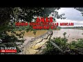 Buaya Sungai Kuantan | Hati-Hati Geng Menebing - (Part 66) - Bottom Fishing Malaysia #JoranPatah