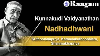 Kunnakudi Vaidyanathan II Nadhadhwani II Kuthoohalapriya, Kathanakuthoohalam, Shanmukhapriya