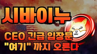 시바이누 코인  🚨 CEO 입장문  🚨 SHIB 결국 \