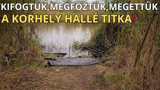 Csatorna peca és korhely halászlé, vízből az asztalig.🐟🍂