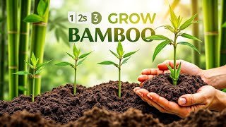 How to Grow Bamboo from Seed: Step-by-Step Guide