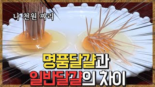 1000원 달걀 노른자에 이쑤시개 꽂아 봤습니다_세.모.달[산업방송 채널i]