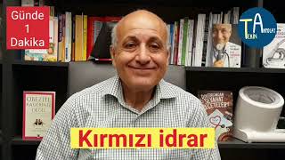 Kırmızı idrar