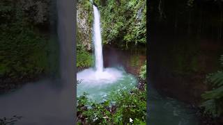 waterfalls❤️😍🥰#karavali #karnataka #naturesounds  #shorts #nature