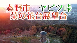 ヤビツ峠・菜の花台展望台