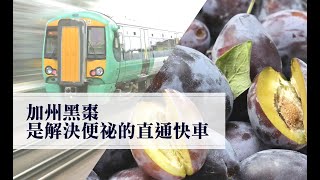 加州黑棗是解決便祕的直通快車