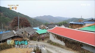 [우문현답] 84화. 다 똑같은 자식이지만 곁에 같이 사는 자식이 최고지요? - 경남 산청군 생비량면 상능마을 (2016.12.07,수)