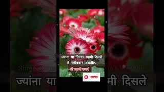 ज्यांना या चित्रात स्वामी दिसले ते नशीबवान असतील भाग 70 #shreeswamismarth #shorts