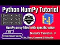 #23 NumPy Arrays: Fill with Any Value You Want! (Python Project Solver)