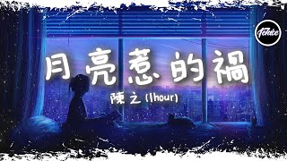 陳之 - 月亮惹的禍 (DJ抖音版)【一小時版本】「我承認都是月亮惹的禍，那樣的月色太美你太溫柔」【動態歌詞】♪