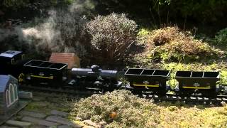 Aster JNR B20 3 with goodstrain live steam in the Garden