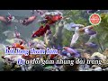 karaoke thương vợ Đoản khúc lam giang phi vân Điệp khúc beat mới hay