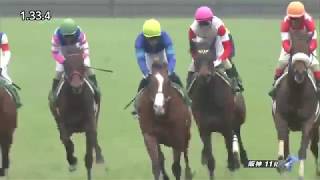 【競馬】第27回 アーリントンカップ G3【JRA】