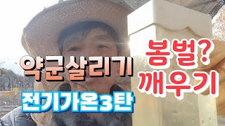 12월24일 약군 전기가온 3탄, 봄벌깨우기 첫번째 이야기