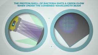 How Bactiscan Works To Effectively Detect Bacteria \u0026 Biofilms Fast \u0026 At Scale