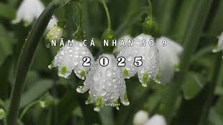 năm cá nhân số 9 trong năm 2025