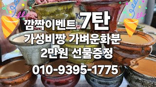 깜짝이벤트 7탄 2만원 선물증정 #다육 #다육식물 #다육화분 #화분 #분갈이흙 010-9395-1775