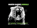 Animals (DJ Shandy transition Edit)/Martin Garrix x Busta Rhymes