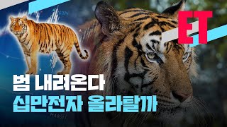 [ET] 범 내려왔다…십만전자 올라탈까 / KBS  2022.01.03.